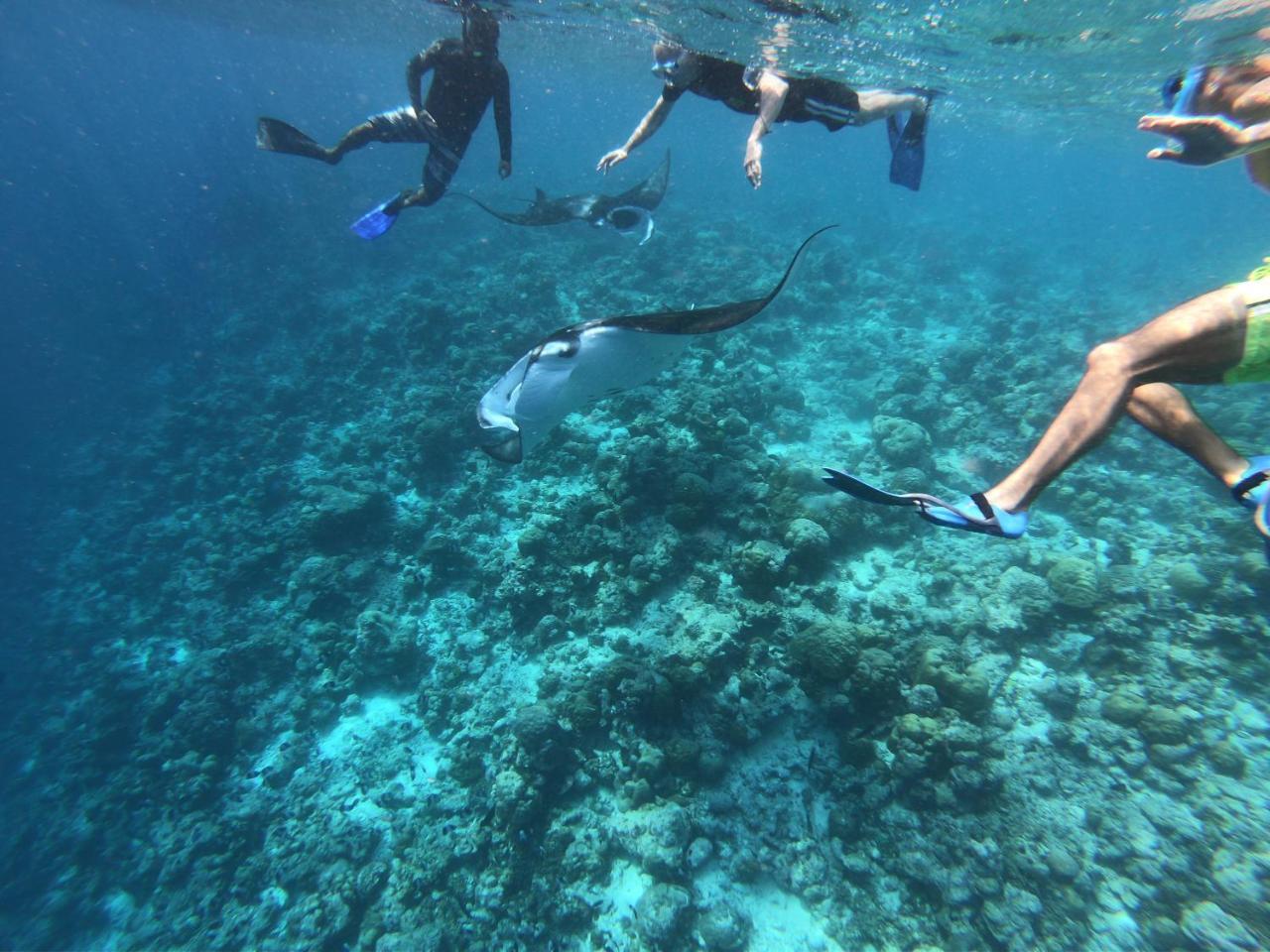 Blue Water Thoddoo Inn ภายนอก รูปภาพ
